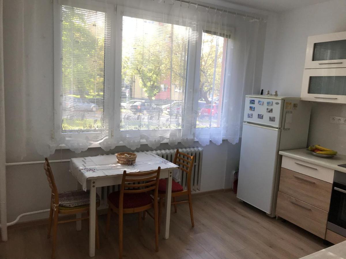Sunny Appartment By The River โดลนีคูบีน ภายนอก รูปภาพ